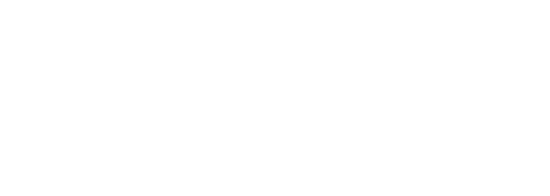 IES Logo
